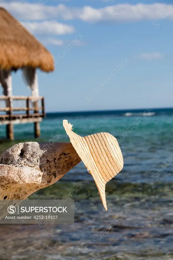 Hat holidays beach