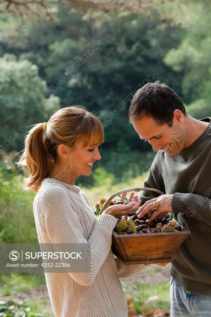 Couple chestnuts basket