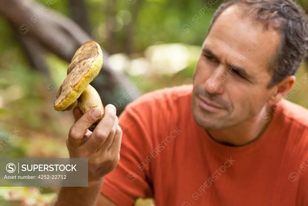 Man mushroom picking