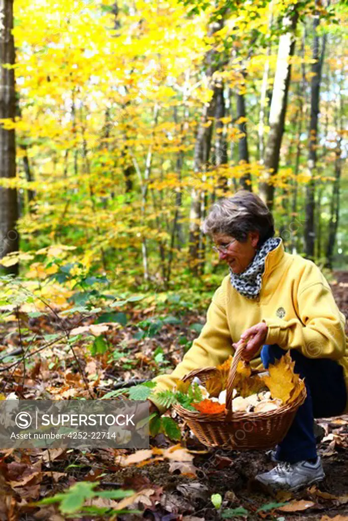 Woman mushroom picking