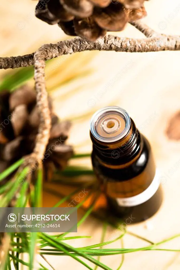 Essential oil branch pine