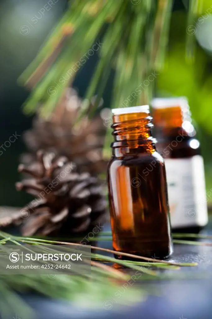 Essential oil pine