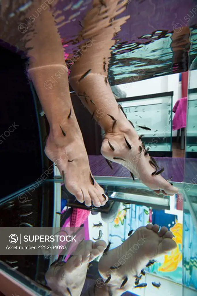Woman fish pedicure