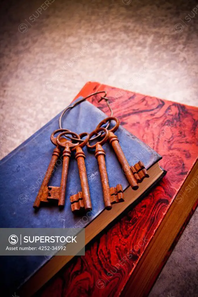 Bunch keys books