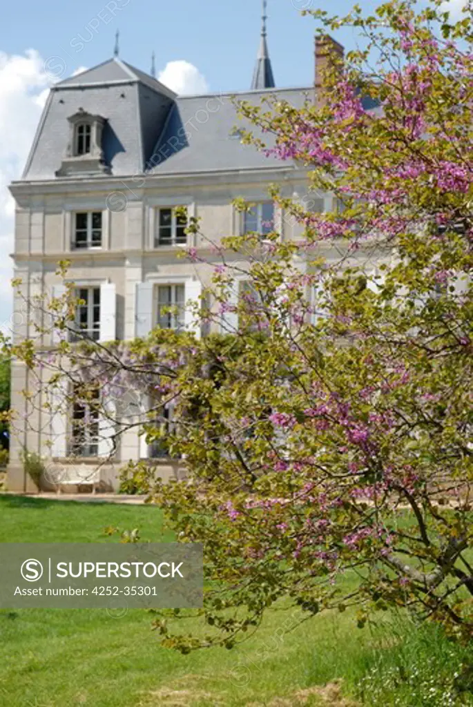 Feature, Chateau La Puisaye