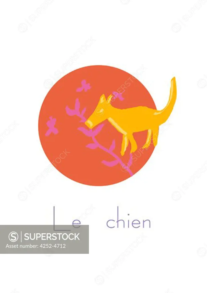 Chinese horoscope, dog