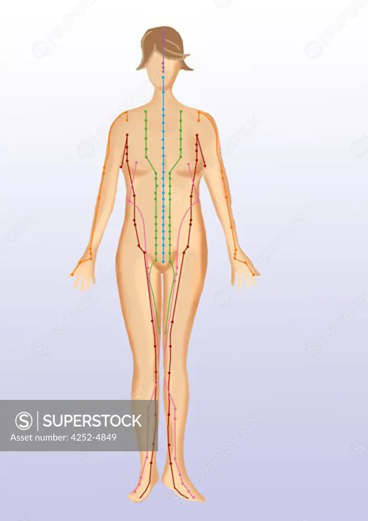 Acupuncture points localization