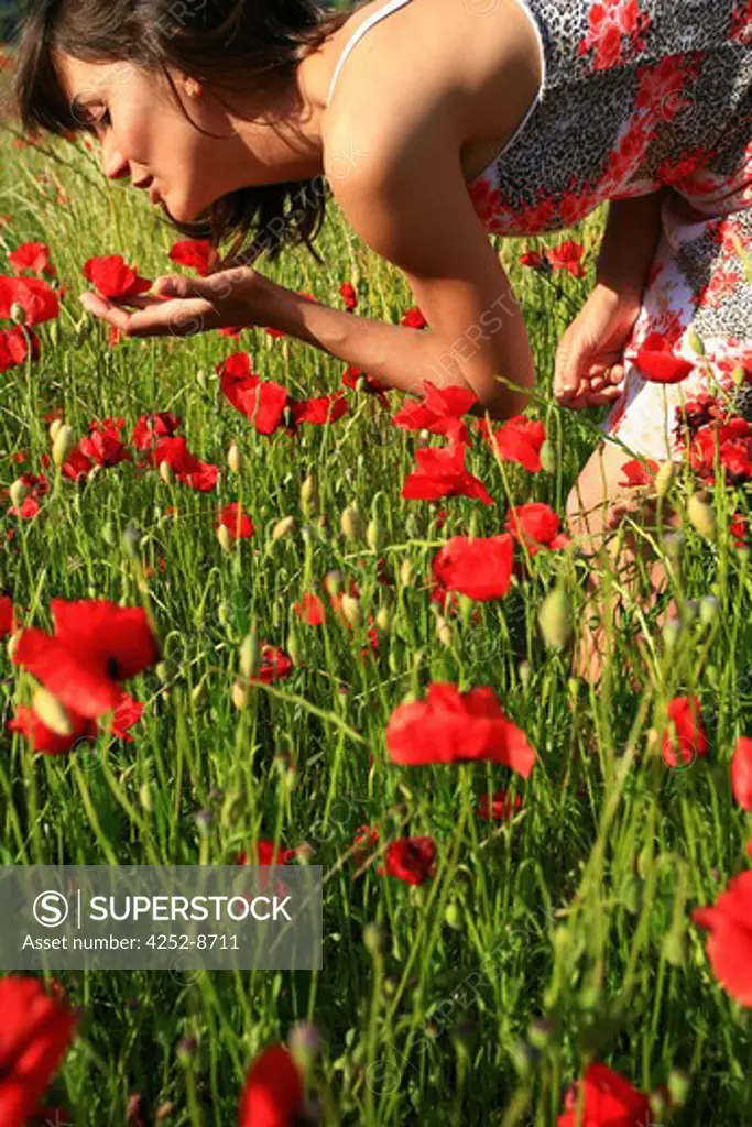 Woman picking poppys
