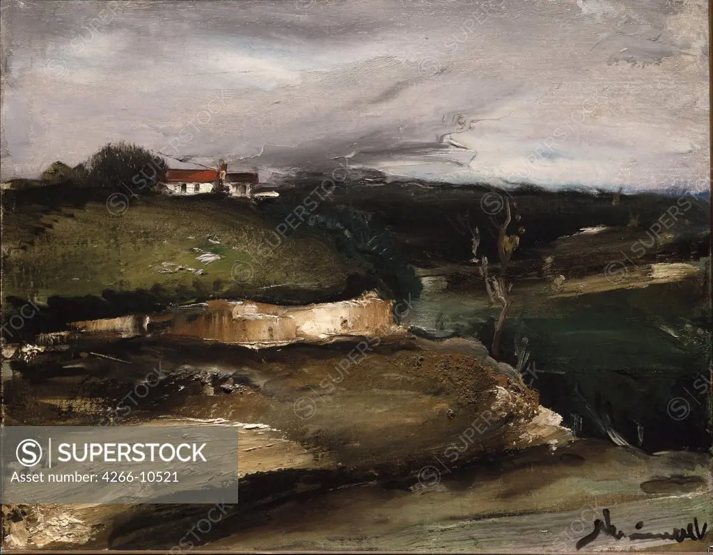 Landscape with river by Maurice de Vlaminck, oil on canvas , circa 1925, 1876-1958, Russia, St. Petersburg , State Hermitage, 33x41