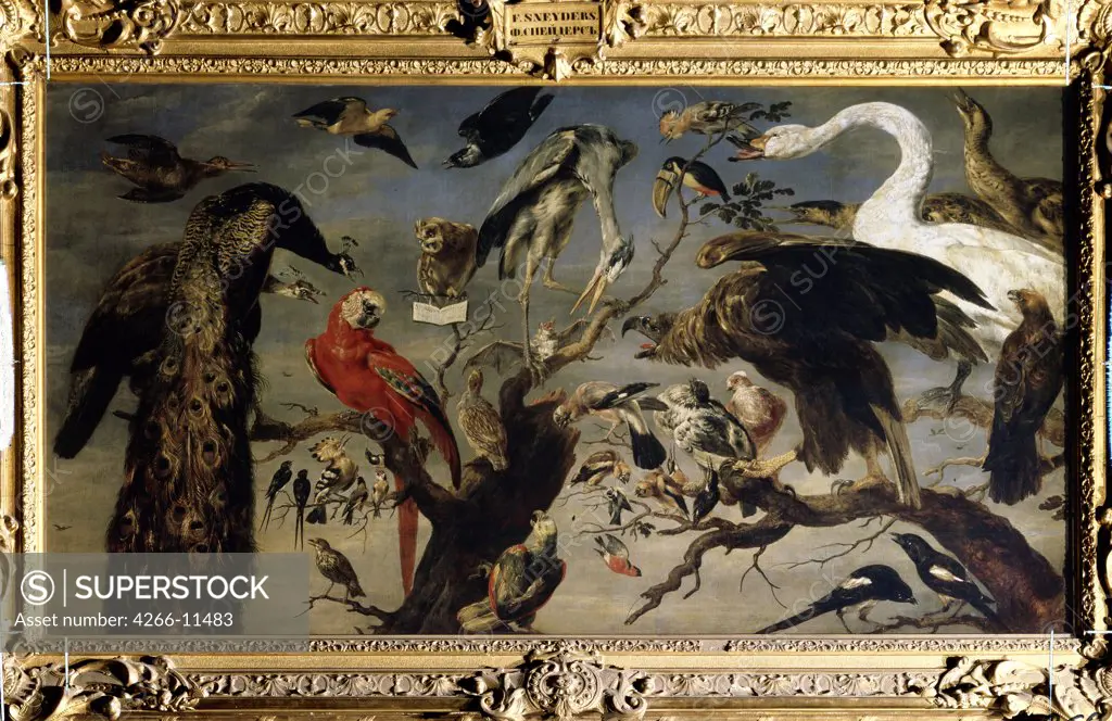 Various species of birds by Frans Snyders, oil on canvas, 1630-1640, 1579-1657, Russia, St Petersburg, State Hermitage, 136, 5x240