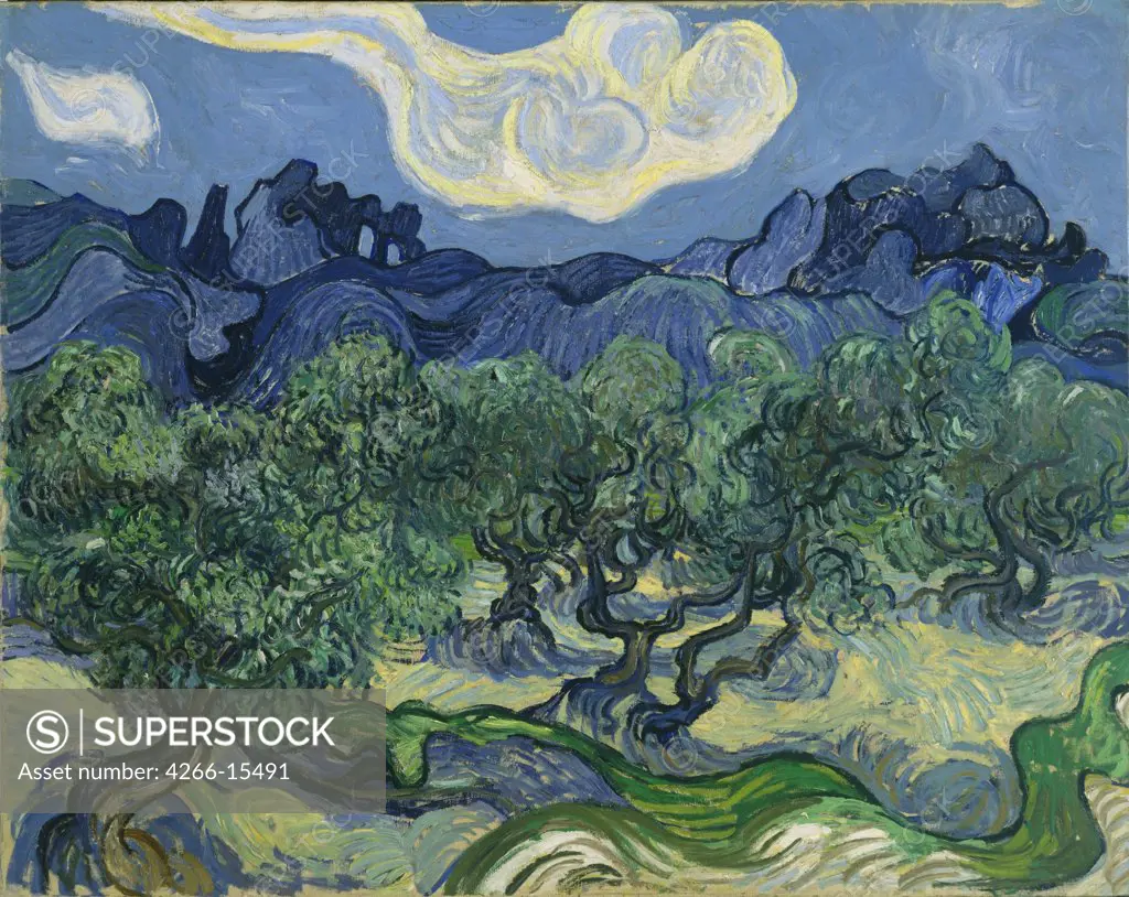 Gogh, Vincent, van (1853-1890) © Museum of Modern Art, New York Painting 72,6x91,4 Landscape  The Olive Trees
