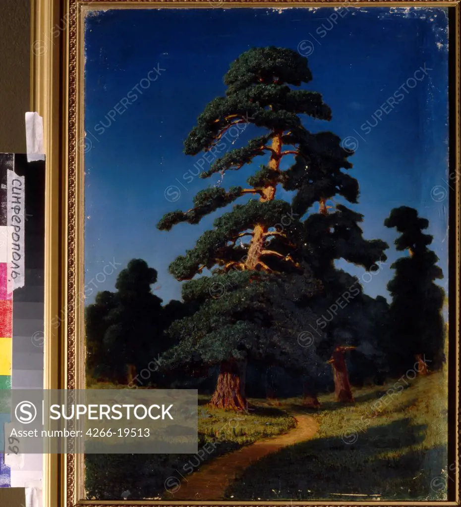 Pine Tree by Kuindzhi, Arkhip Ivanovich (1842-1910)/ Regional Art Museum, Simferopol/ Russia/ Oil on canvas/ Realism/ 54x41/ Landscape