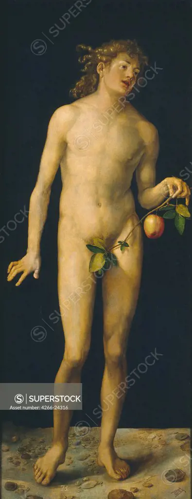 Adam by Durer, Albrecht (1471-1528) Museo del Prado, Madrid 1507 Oil on wood 209x81 Germany Renaissance Bible Painting