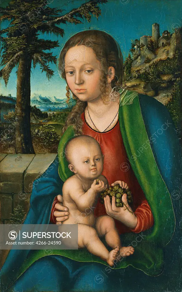 The Virgin with Child with a Bunch Grapes by Cranach, Lucas, the Elder (1472-1553) Thyssen-Bornemisza Collections ca 1509-1510 Oil on wood 71,5x44,2 Germany Renaissance Bible Painting