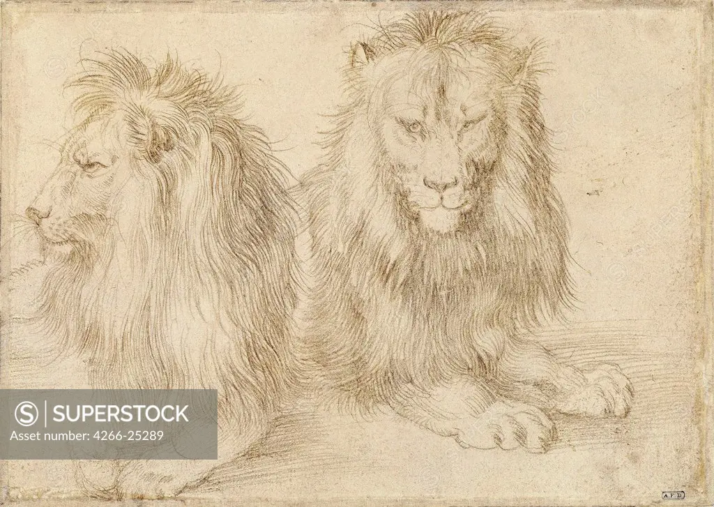 Two seated lions by Durer, Albrecht (1471-1528) Staatliche Museen, Berlin 1521 Pencil on Paper 12,1x17,1 Germany Renaissance Animals and Birds Graphic arts