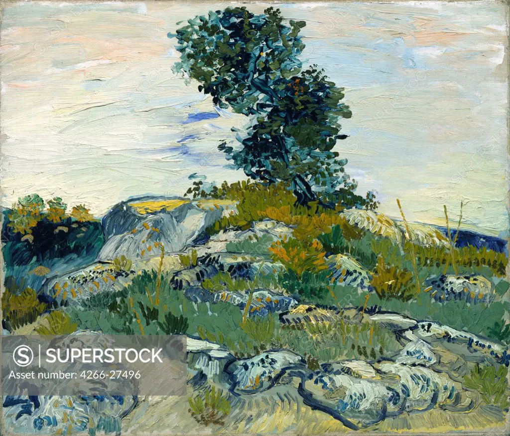 The Rocks by Gogh, Vincent, van (1853-1890) / Museum of Fine Arts, Houston / Postimpressionism / 1888 / Holland / Oil on canvas / Landscape / 54,9x65,7