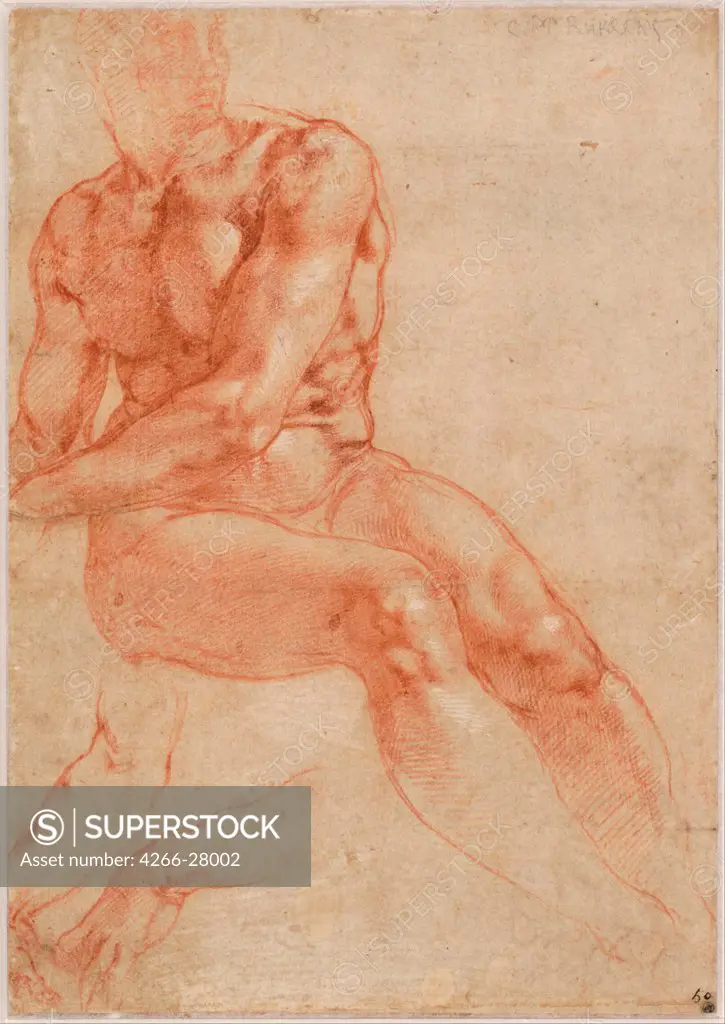 Seated Young Male Nude and Two Arm Studies by Buonarroti, Michelangelo (1475-1564) / Albertina, Vienna / Renaissance / ca 1510-1511 / Italy, Florentine School / Sanguine on paper / Nude painting / 27,2x19,2