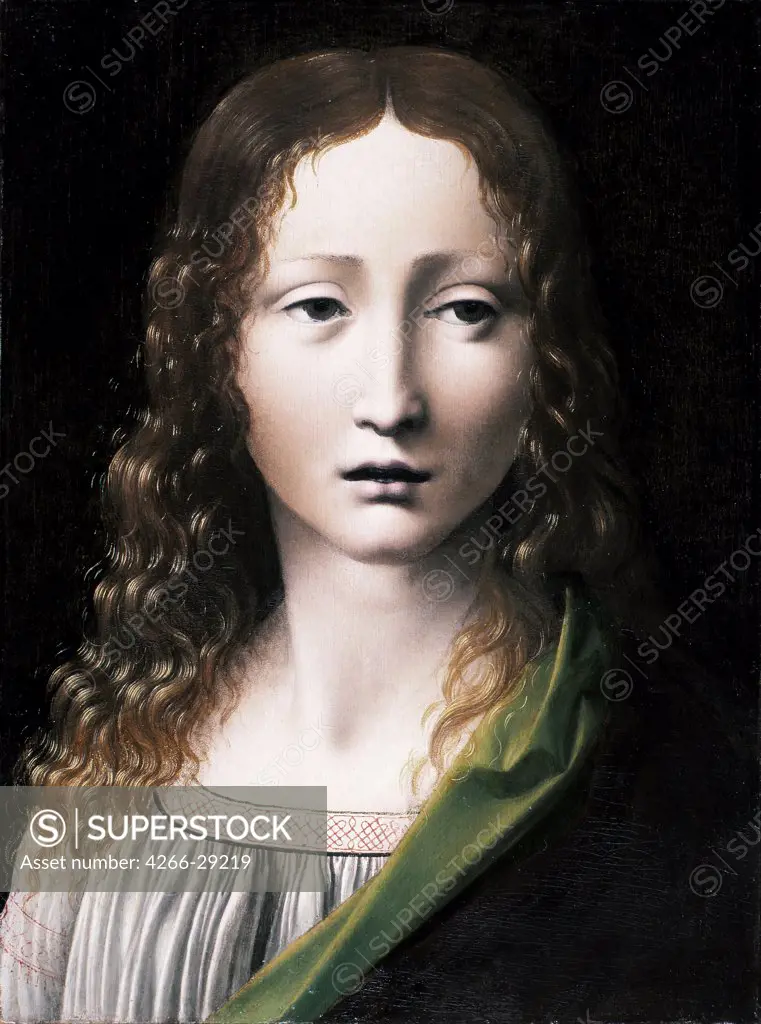 El Salvador Adolescente (The Adolescent Saviour) by Boltraffio, Giovanni Antonio (1467-1516) / Museo Lazaro Galdiano, Madrid / 1490-1495 / Italy, Milanese school / Oil on wood / Bible / 25x18,5