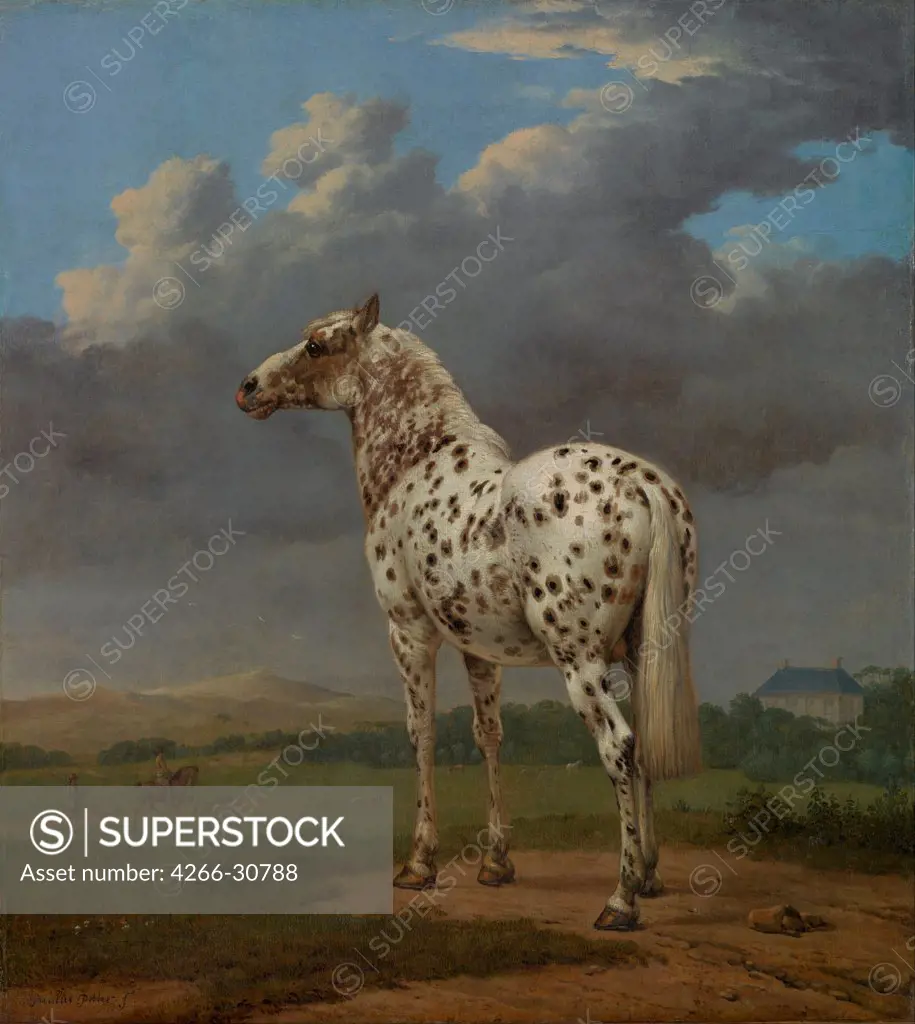 Piebald Horse by Potter, Paulus (1625-1654) / J. Paul Getty Museum, Los Angeles / ca 1654 / Holland / Oil on canvas / Animals and Birds / 50,2x45 / Baroque