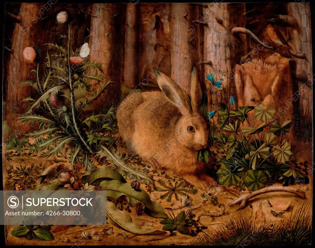 A Hare in the Forest by Hoffmann, Hans (1530-1592) / J. Paul Getty Museum, Los Angeles / ca 1585 / Germany / Oil on wood / Animals and Birds / 62,2x78,4 / Mannerism