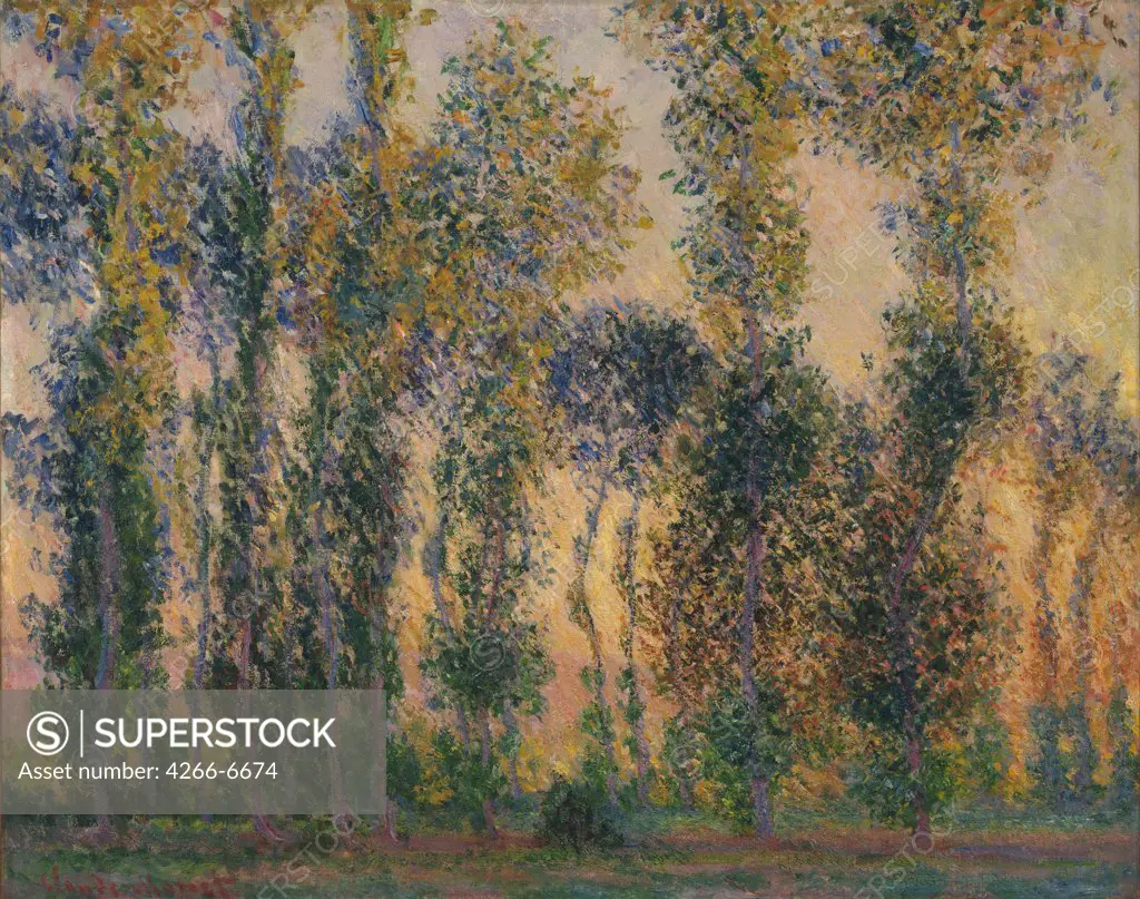 Trees in morning light by Claude Monet, oil on canvas, 1888, 1840-1926, USA, New York, Museum of Modern Art, 74x92,7
