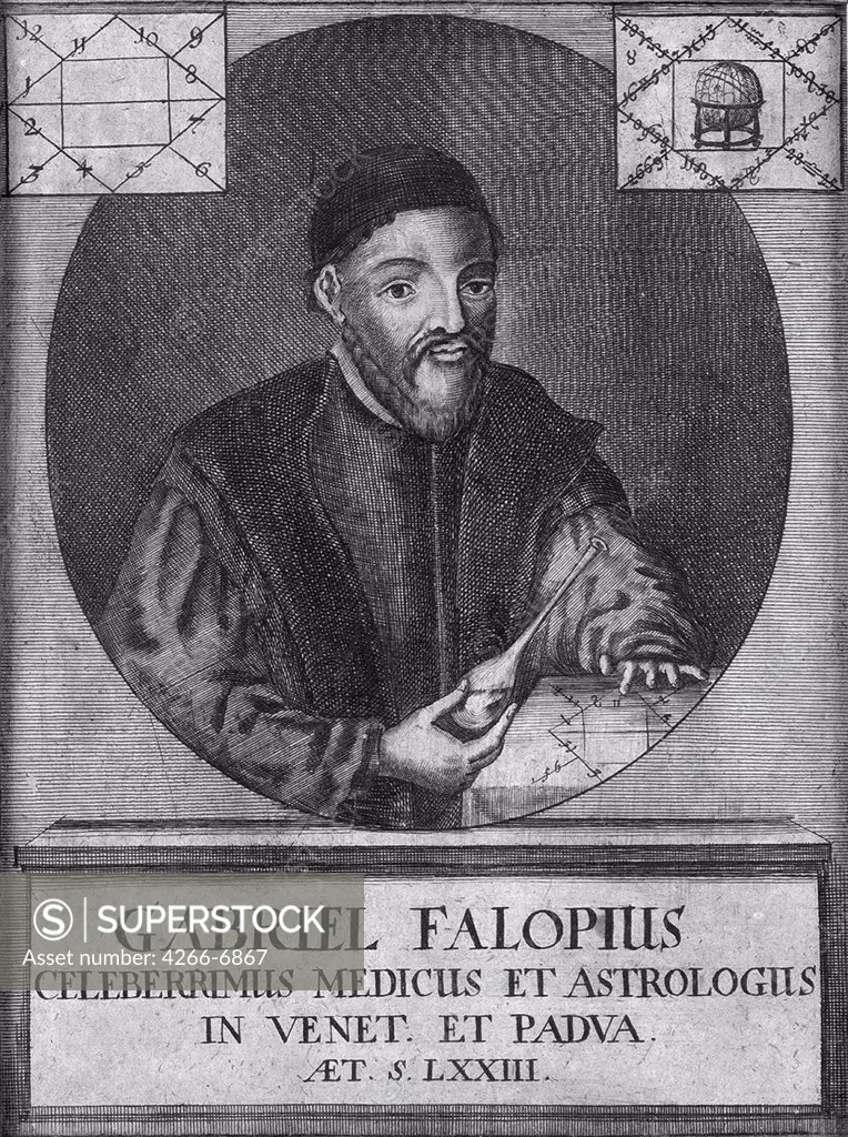 Portrait of doctor Gabriele Falloppio by Anonymous painter, Copper engraving, Private Collection