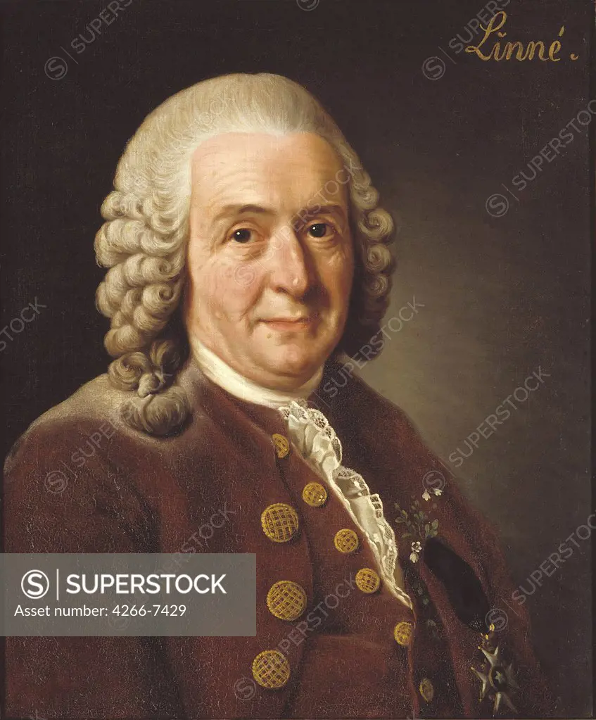 Portrait of Carl Linnaeus by Alexander Roslin, oil on canvas, 1775, 1718-1793, Sweden, Stockholm, National museum Stockholm, 56x46