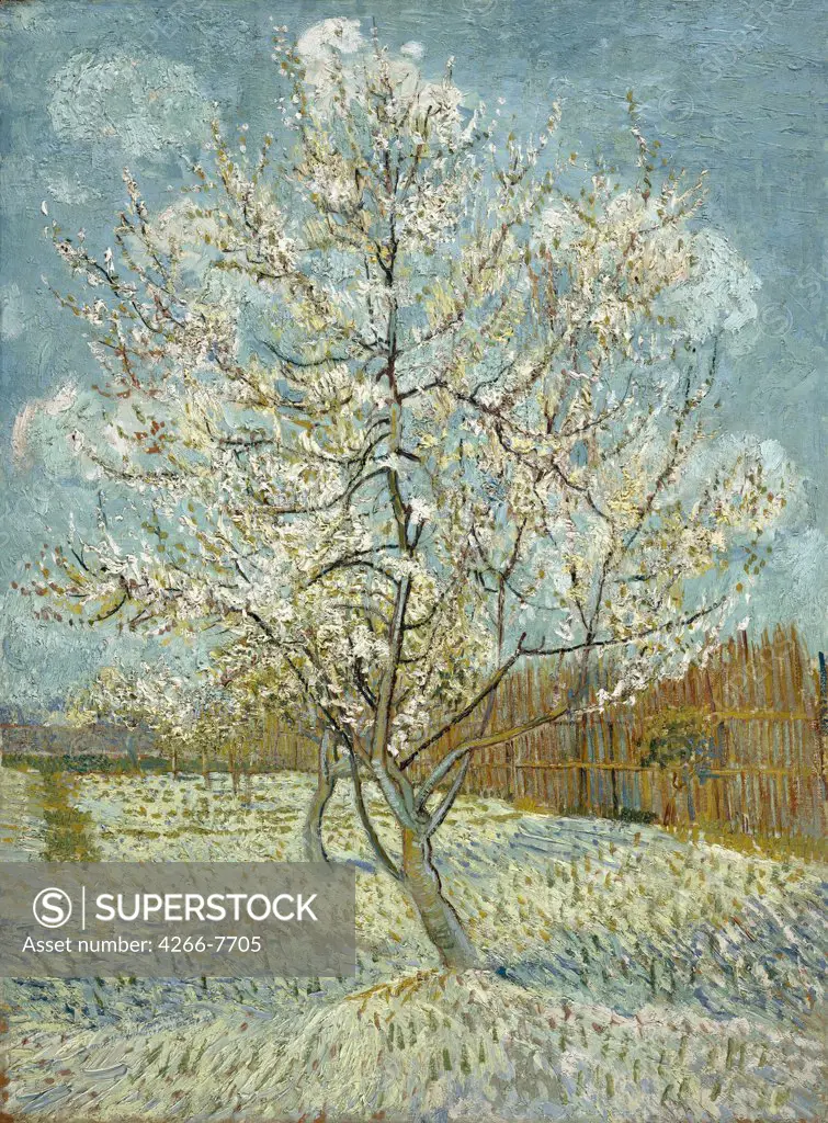 Blossom tree by Vincent van Gogh, Oil on canvas, 1888, 1853-1890, Holland, Amsterdam, Van Gogh Museum, 59x80,5