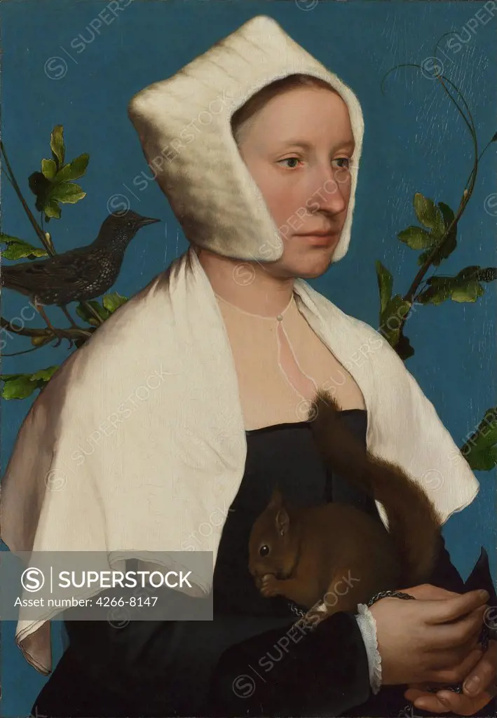 Portrait of lady with squirrel by Hans Holbein Younger, oil on wood, circa 1527, 1497-1543, England, London, National Gallery, 58x38,8