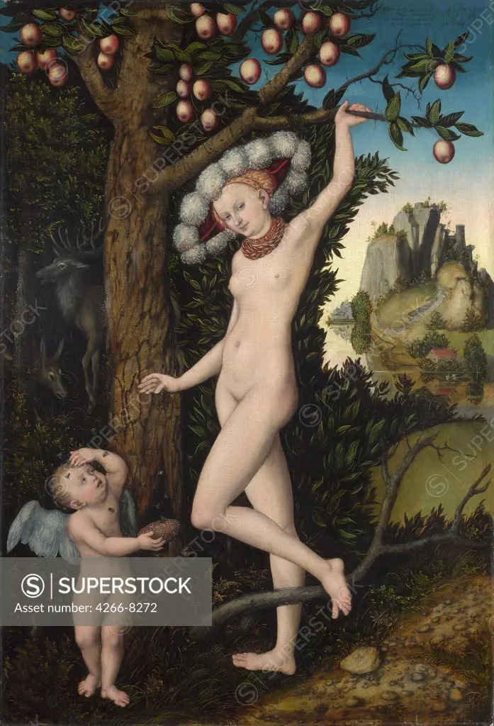 Venus and Cupid by Lucas Cranach the Elder, Oil on wood, circa 1525, 1472-1553, Great Britain, London, National Gallery, 81, 3x54, 6