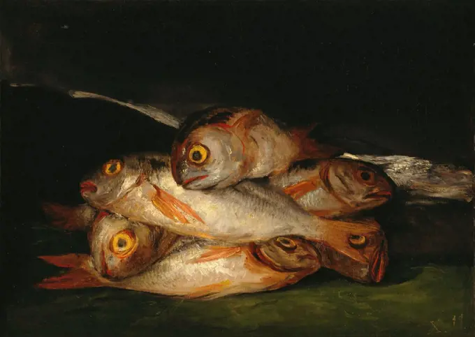 Still Life with Golden Bream by Goya, Francisco, de (1746-1828) / Museum of Fine Arts, Houston / Classicism / 1808-1812 / Spain / Oil on canvas / Still Life / 44x62