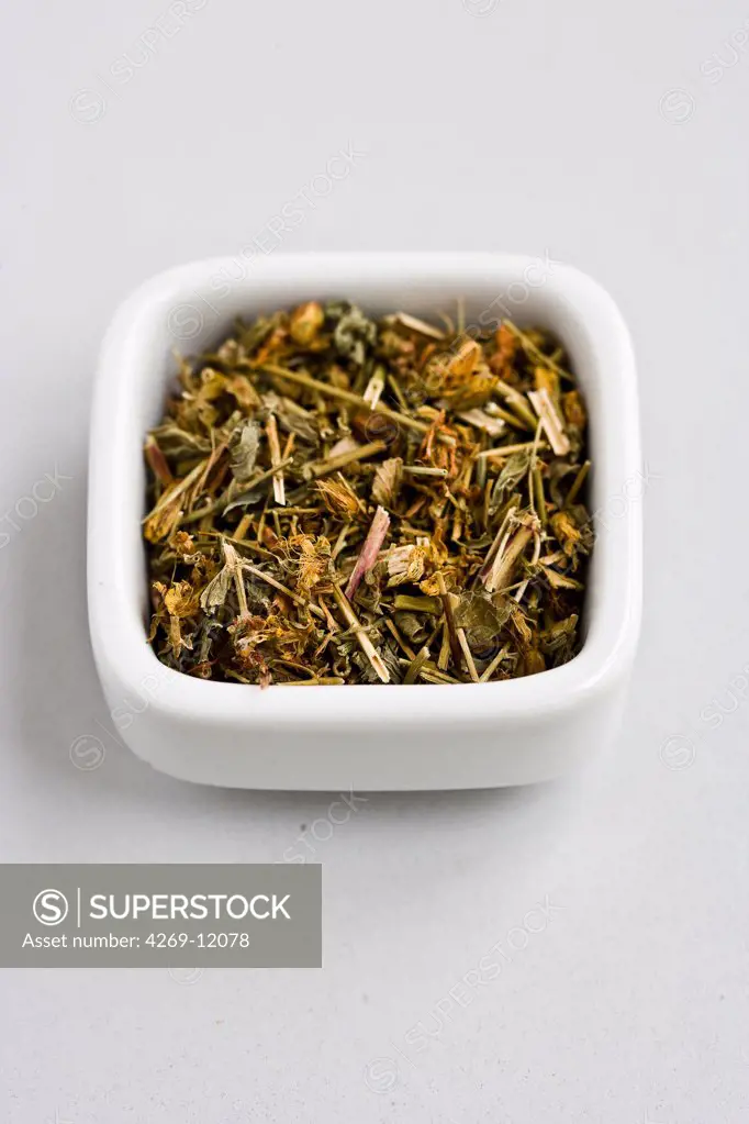 Dry St John's wort plant (Hypericum perforatum) used in herbal tea.