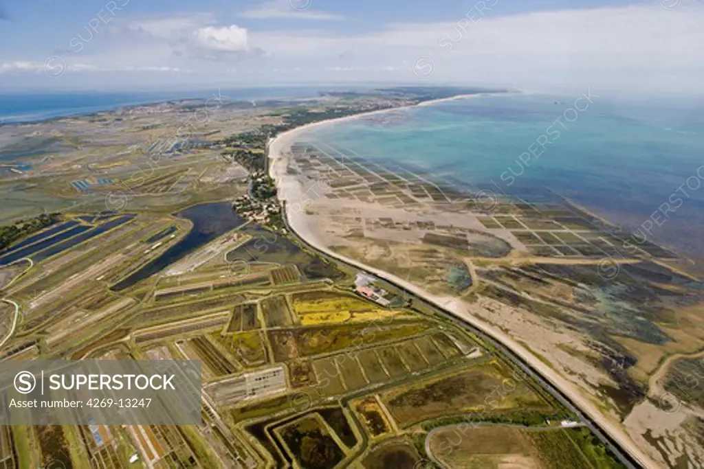 Aerial view of the Ile de Ré showing salt pans (left) and oyster farms (right), Charente-Maritime, France.