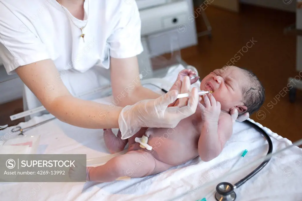 Midwife giving a newborn baby vitamin K. Obstetrics and gynaecology department, Limoges hospital, France.
