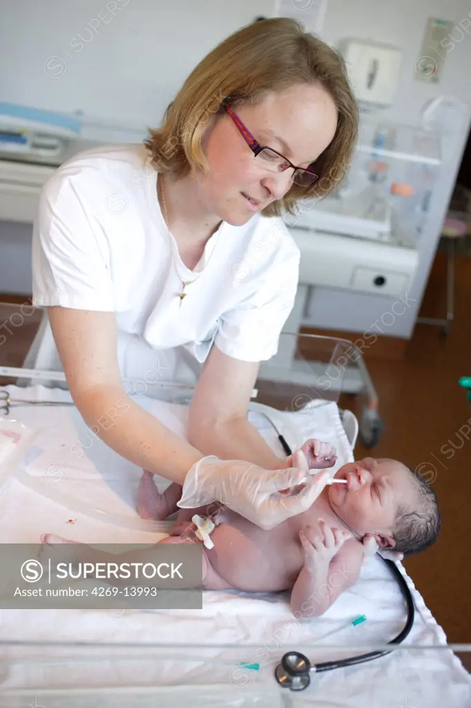 Midwife giving a newborn baby vitamin K. Obstetrics and gynaecology department, Limoges hospital, France.