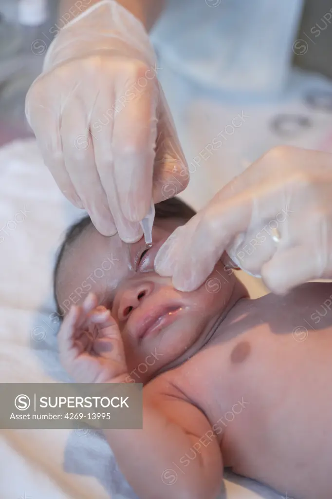 Midwife applying eyedrop to a newborn baby. Obstetrics and gynaecology department, Limoges hospital, France.