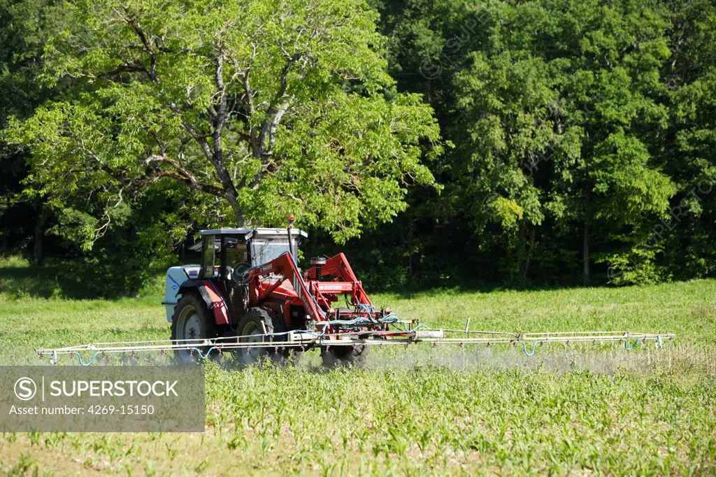 Farmer spraying chemicals on corn fields. This farmer uses sustainable farming practises in using reasonable amount of inputs (herbicides, pesticides).