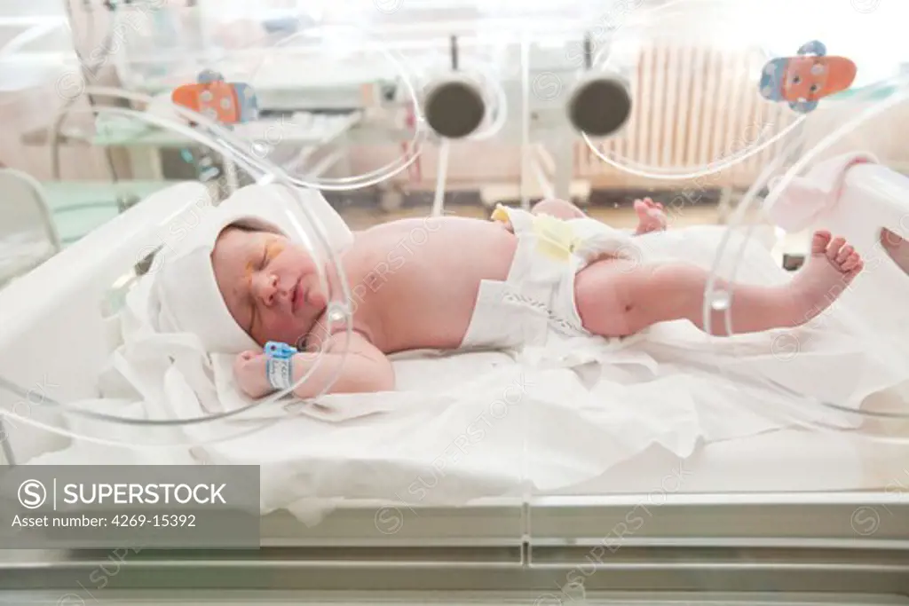 Newborn baby in an incubator. Maternity department, Cochin hospital, Paris, France.