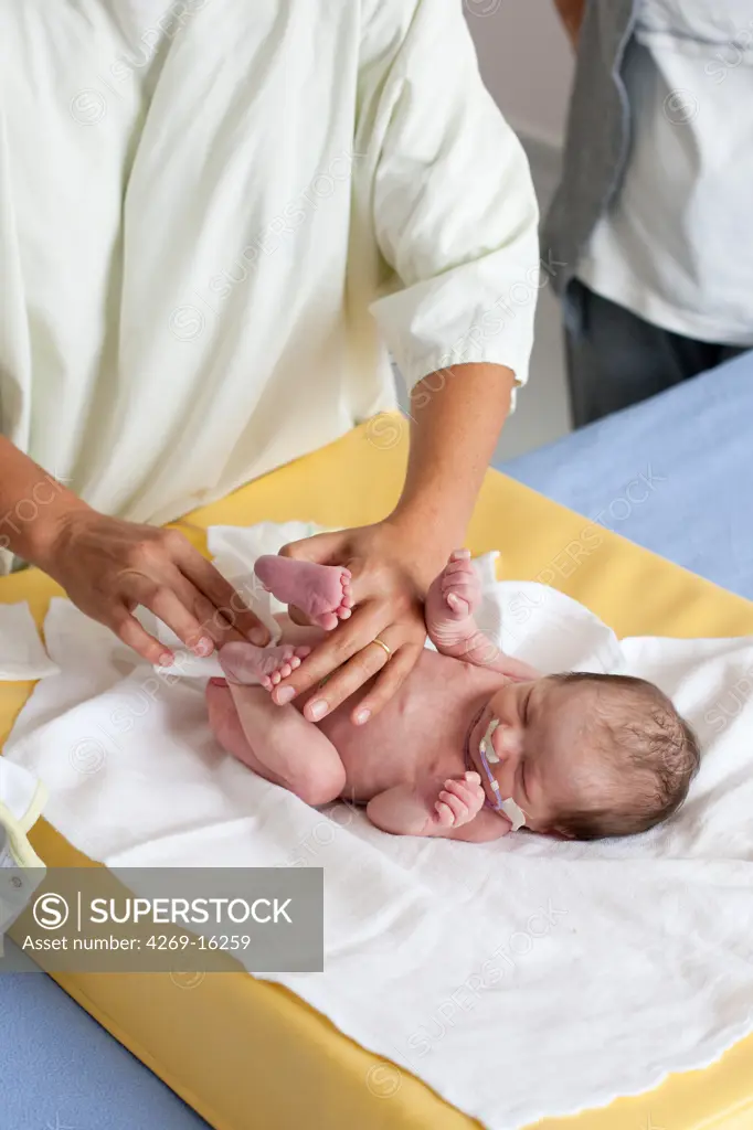 Pediatrician examining a premature newborn baby. Obstetrics and gynaecology department, Saintonges hospital, Saintes, France.