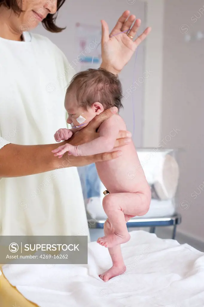 Pediatrician examining a premature newborn baby (stepping or walking reflex). Obstetrics and gynaecology department, Saintonges hospital, Saintes, France.
