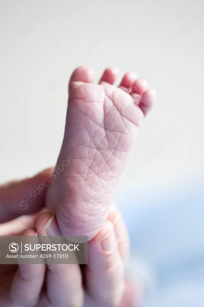 3 weeks old baby's foot.