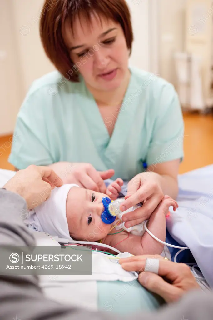 Baby recovery room sucking a sugar teat. The combination of sugar and suction to obtain an analgesic effect. Hospital of the mother and child, pediatric surgery department of the CHU of Limoges, France.