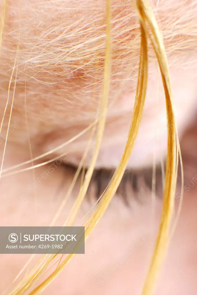 Close up of a lock of hair.