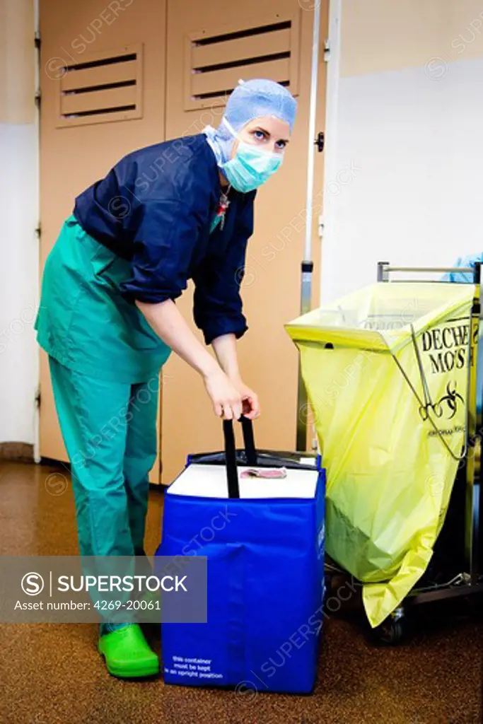 Partial removal of a liver from a living donor by laparoscopy for a transplantation. Here, insulated container used for graft transportt. Department of Surgery of Pr Olivier Soubrane. St Antoine hospital, Paris.