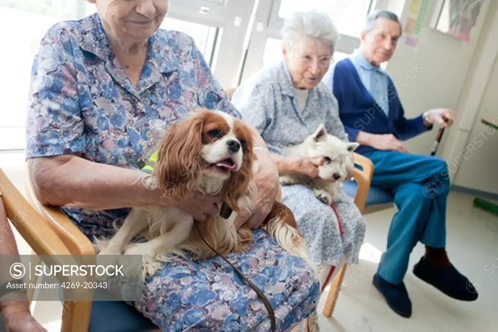 Association of dogs trained visitors to visit the sick and the elderly. Workshop runing by volunteer teachers and staff of the institution. Residential home for dependent elderly person, Limoges, France.