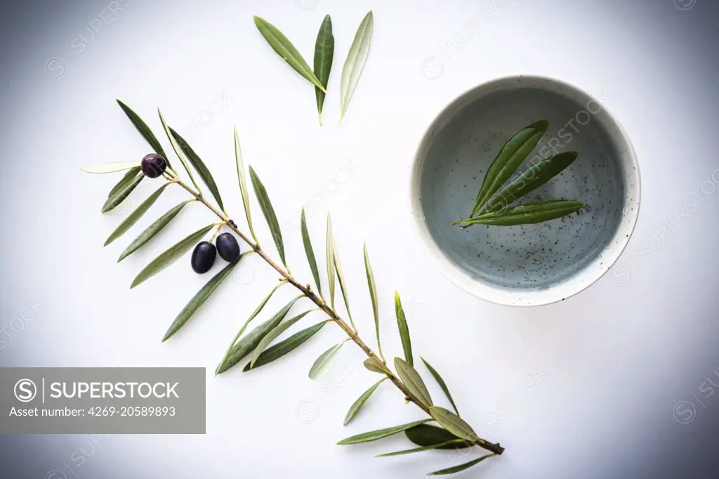 Olive leaves herbal tea.