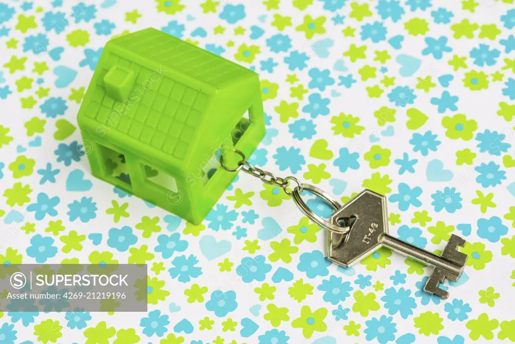 Green house and key. Conceptual image about ecolodge.