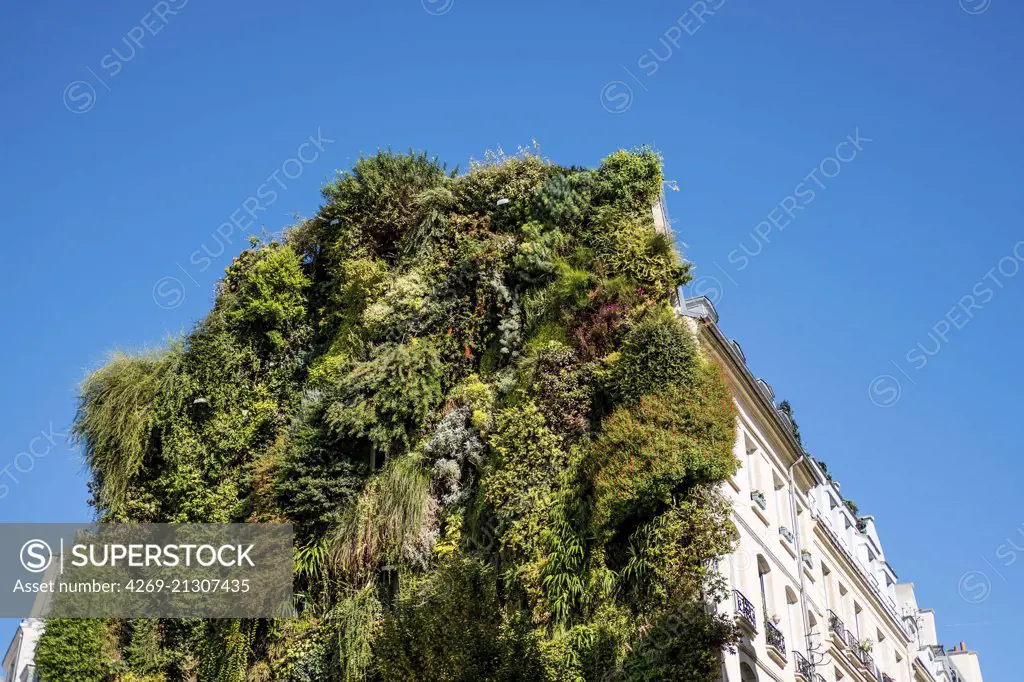 Green wall on the gable of a building.