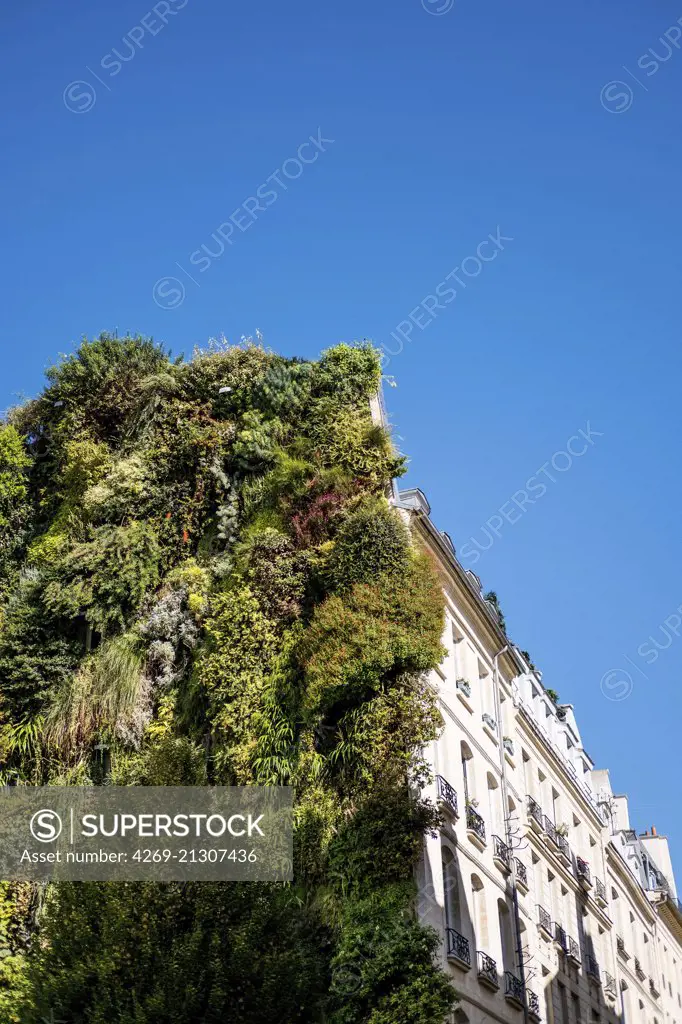 Green wall on the gable of a building.