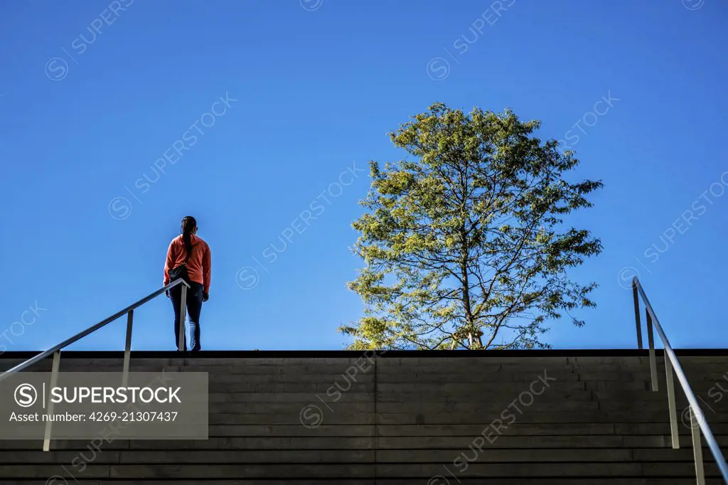 Woman, stairs and tree.